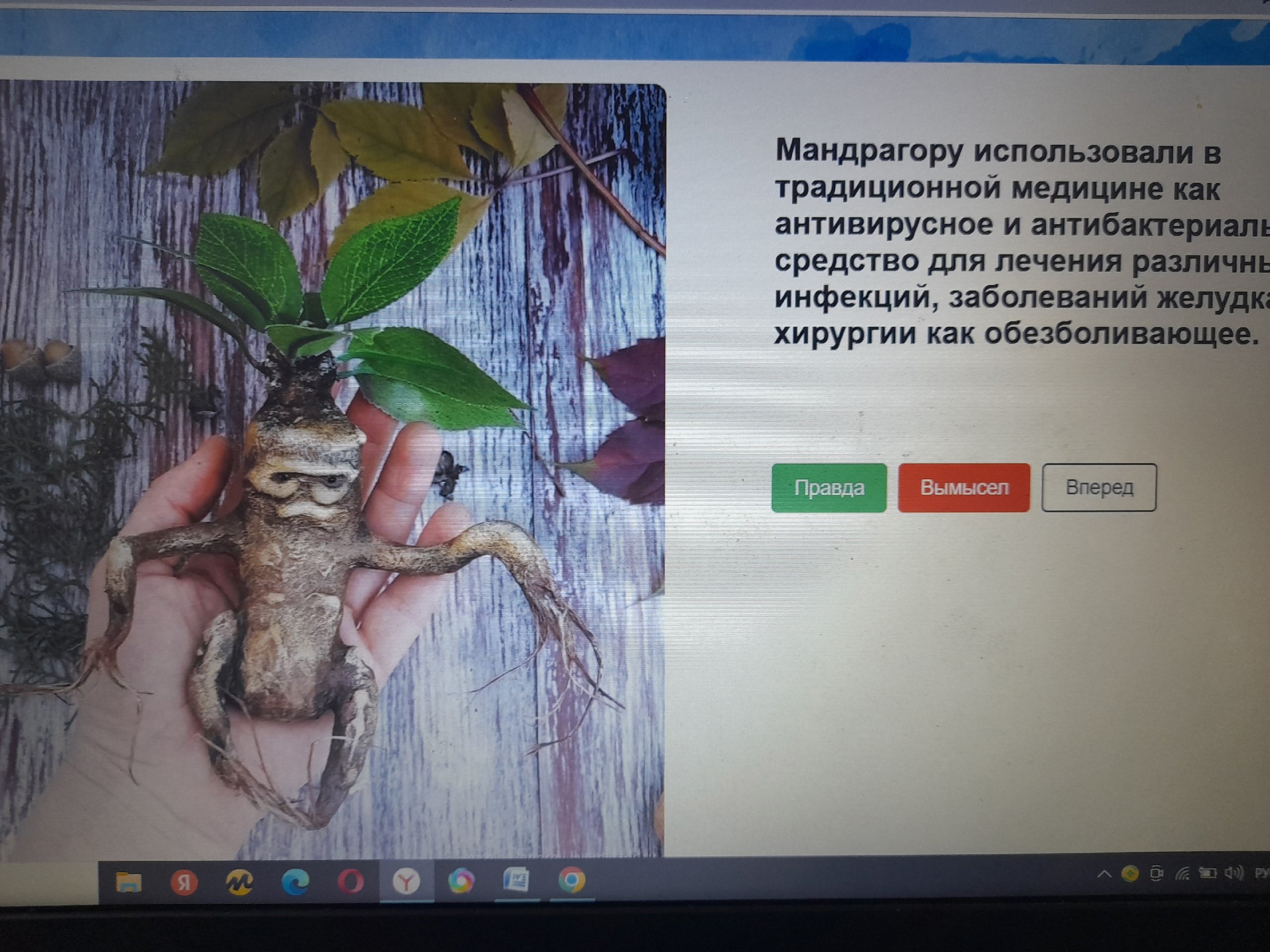 «Медицина России» в 10-11 классах..
