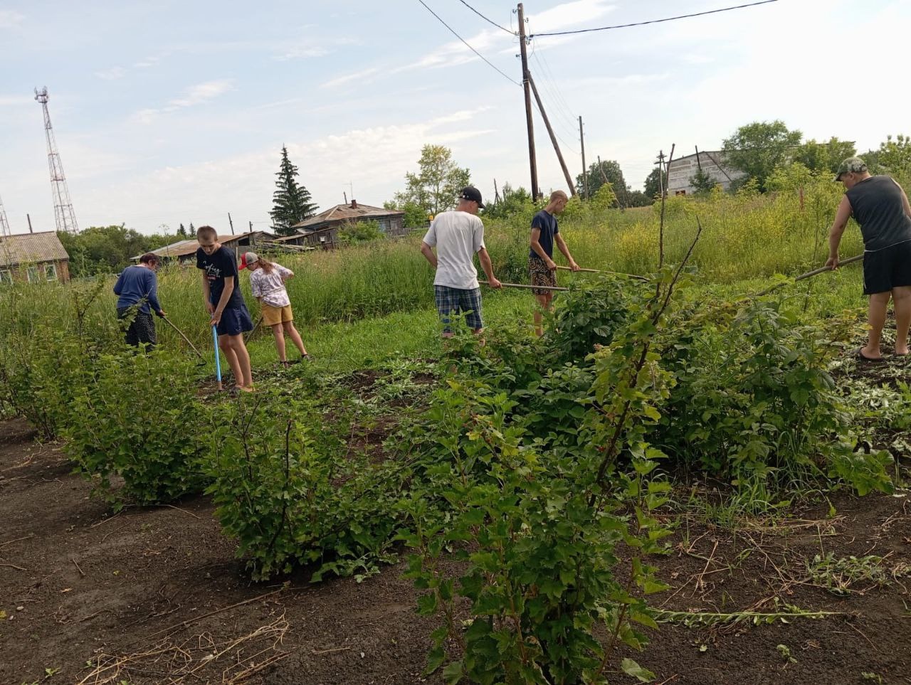 Порядок в школьном саду..