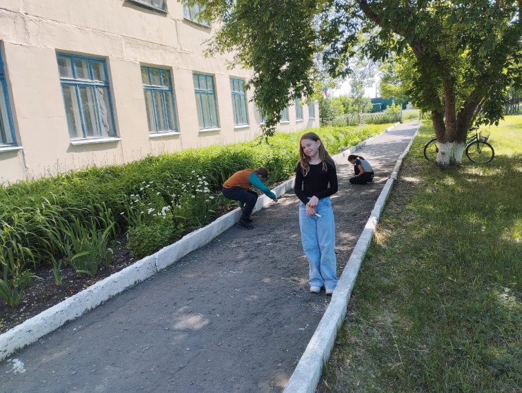 "День охраны животных".
